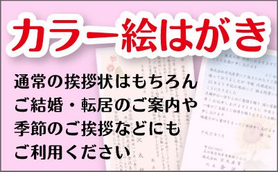 カラー絵はがき 通常の挨拶状はもちろんご結婚・転居のご案内や季節のご挨拶などにもご利用ください